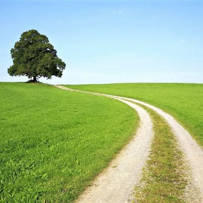 开云·kaiyun体育