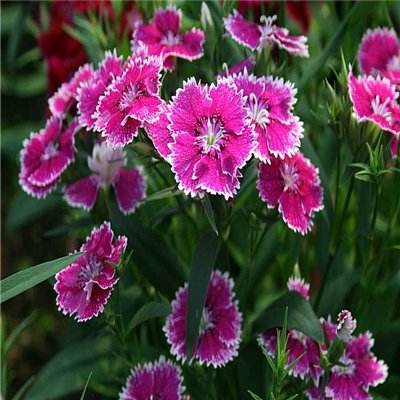 BO半岛综合app安全下载手机app下载