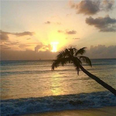 开云注册·Kaiyun