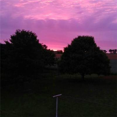 星空下载站安装